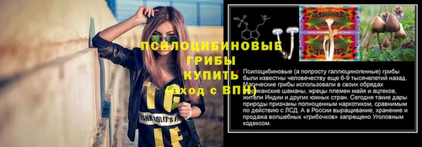 молекула духа Алексеевка