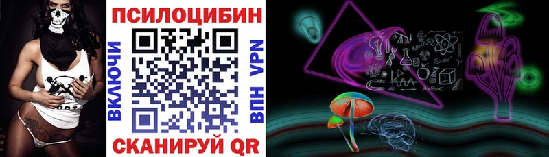 Галлюциногенные грибы Psilocybine cubensis  Саранск 